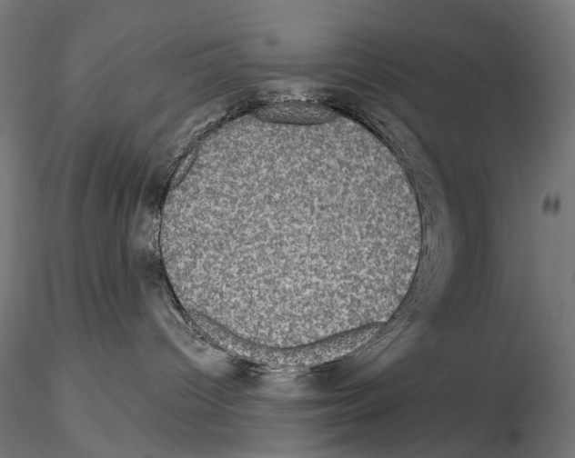 X0000115090096200912081245