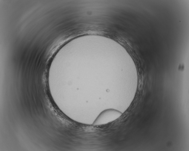 X0000115090098200912081245