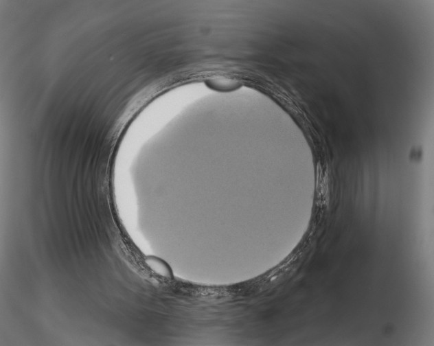 X0000115090099200912081245