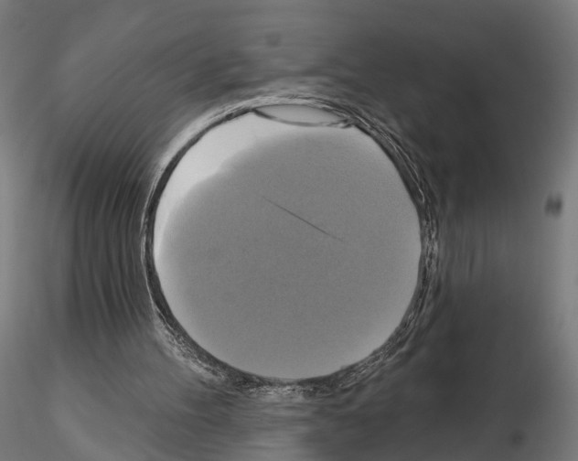 X0000115090100200912081245