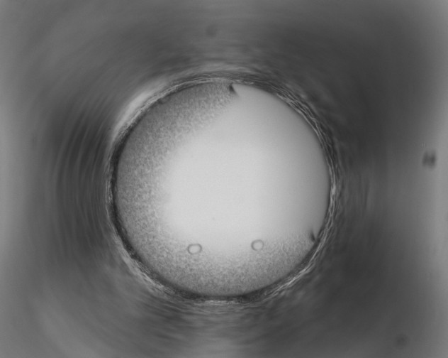 X0000115090101200912081245