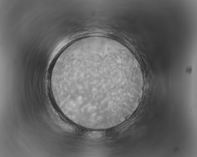X0000115090102200912081245