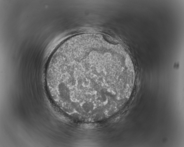X0000115090103200912081245