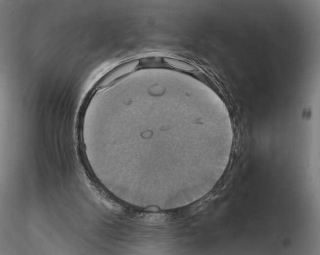 X0000115090104200912081245