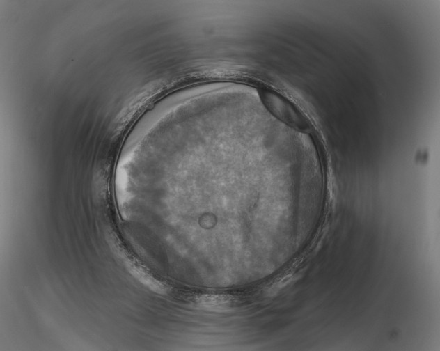 X0000115090105200912081245