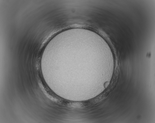 X0000115090106200912081245