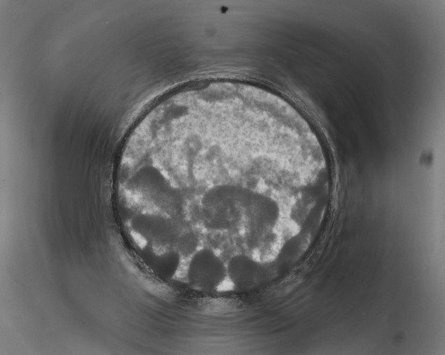 X0000115090107200912081244