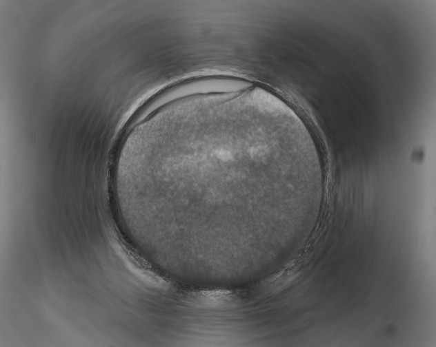 X0000115090108200912081244