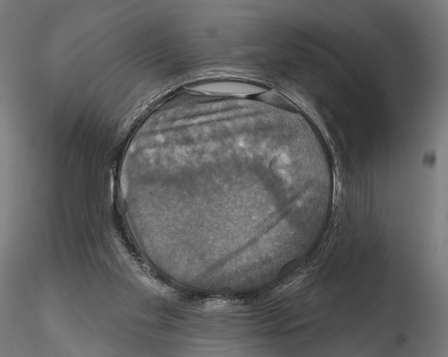 X0000115090109200912081244