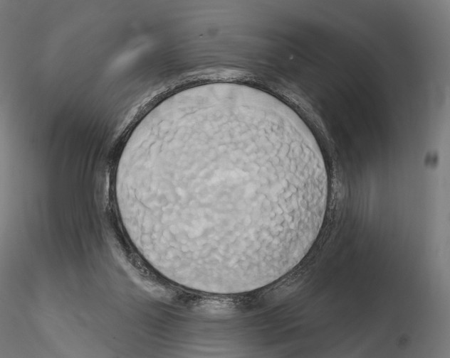 X0000115090110200912081244