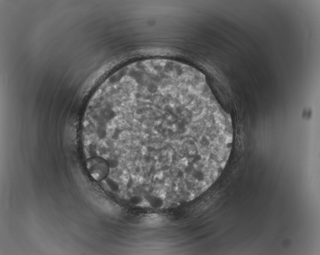 X0000115090111200912081244