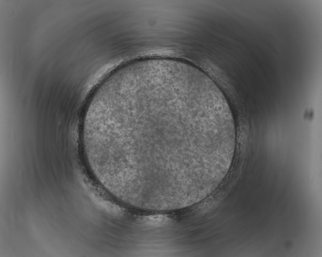 X0000115090112200912081244