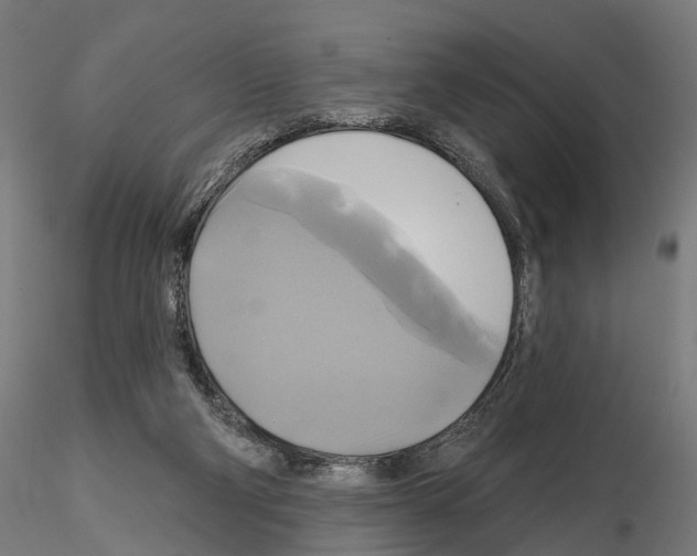 X0000115090114200912081244