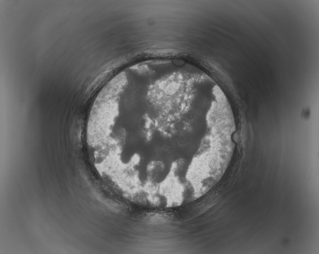 X0000115090115200912081244
