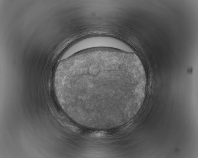 X0000115090116200912081244