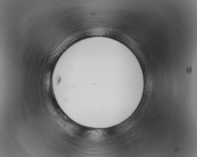 X0000115090118200912081244