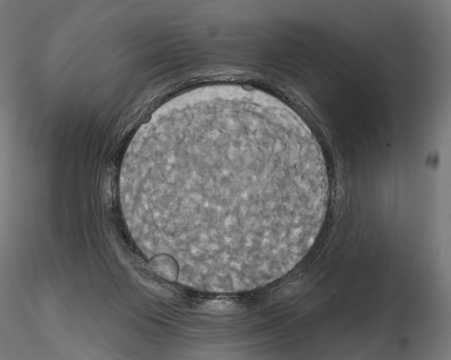 X0000115090119200912081244