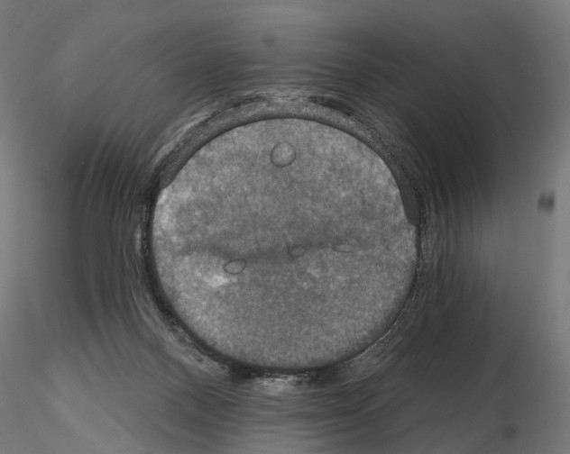 X0000115090120200912081244