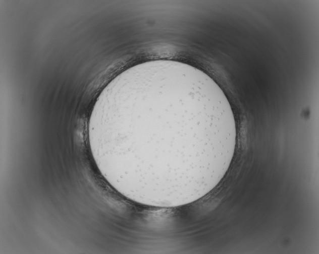 X0000115090122200912081244