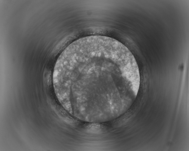 X0000115090123200912081244