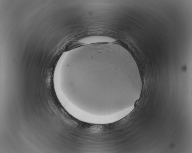 X0000115090124200912081244