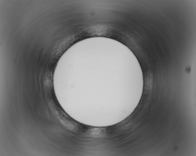X0000115090126200912081244