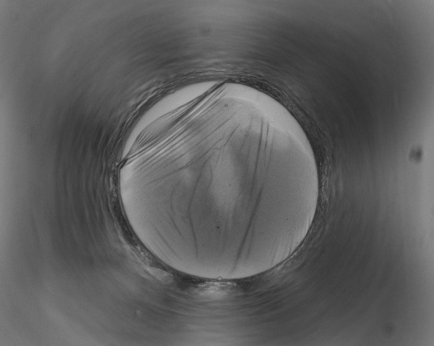X0000115090128200912081244