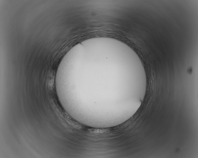 X0000115090129200912081244