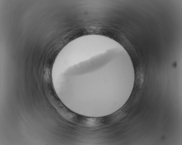 X0000115090130200912081244