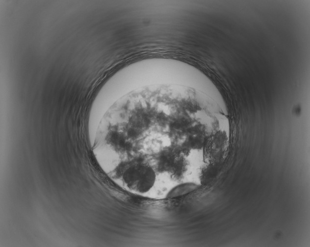 X0000115090131200912081244