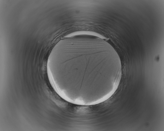 X0000115090132200912081244