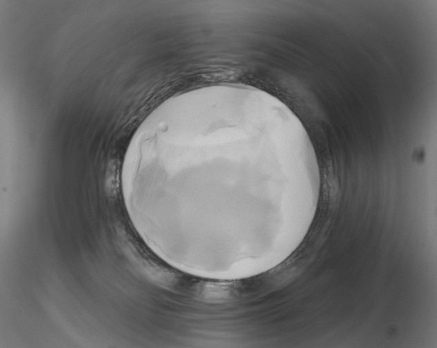 X0000115090134200912081244