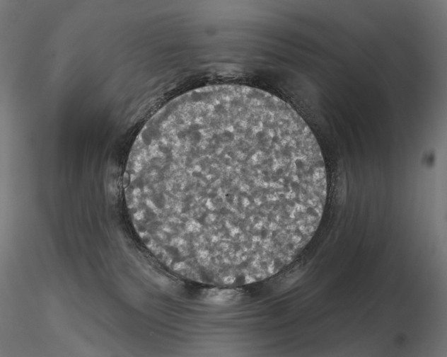 X0000115090135200912081244