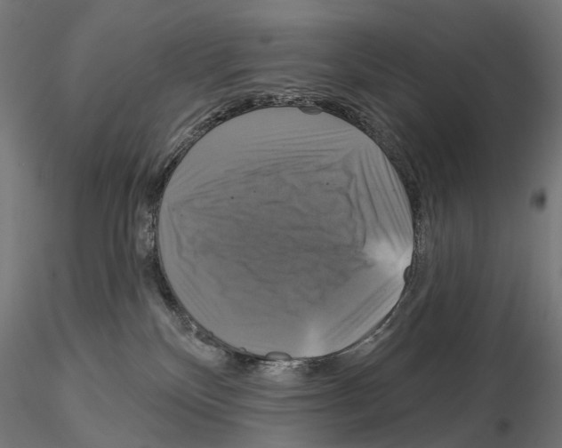 X0000115090136200912081244