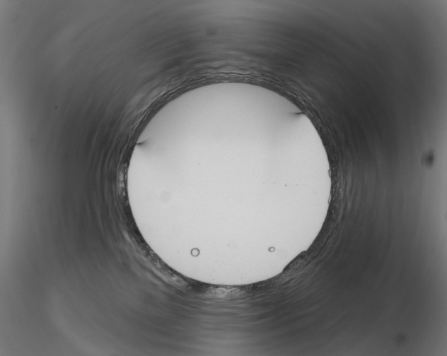 X0000115090137200912081244