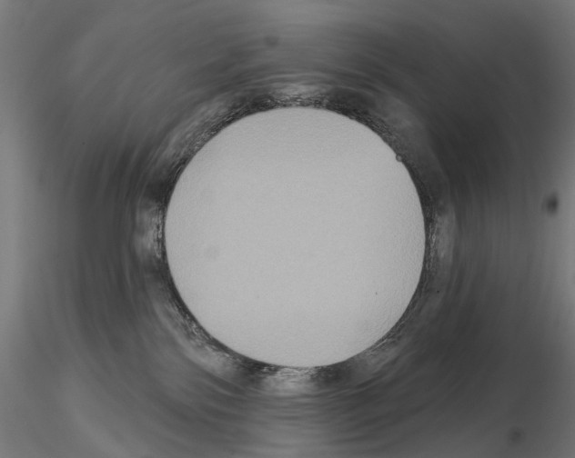 X0000115090138200912081244