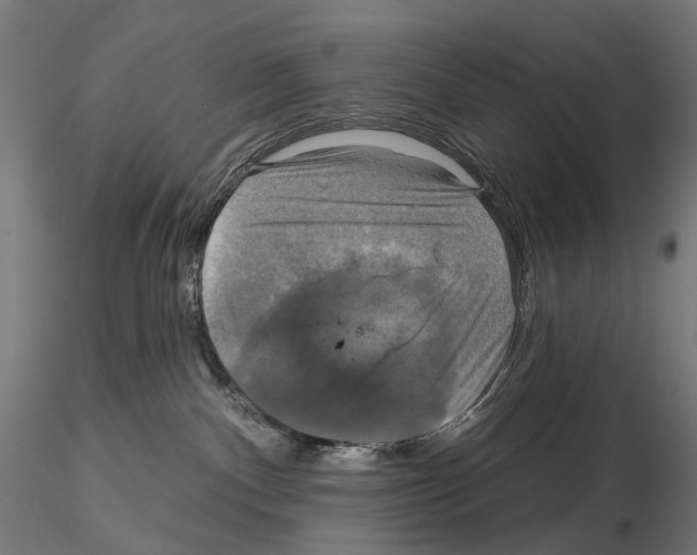 X0000115090140200912081244