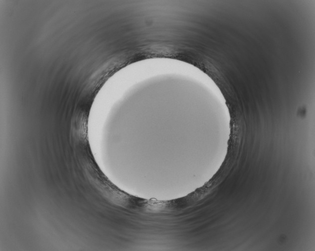 X0000115090143200912081244