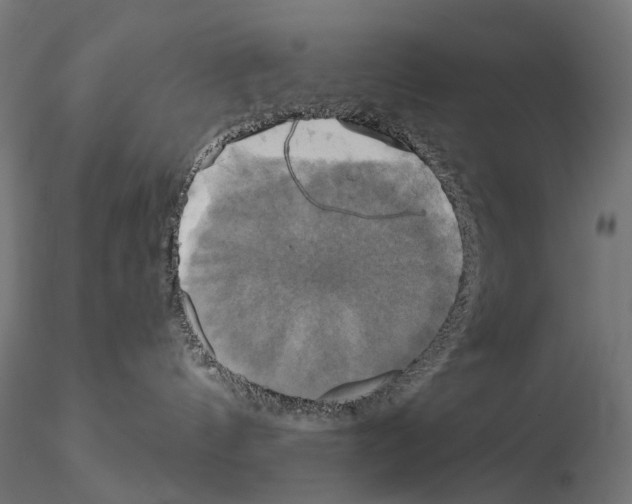 X0000115090144200912081244