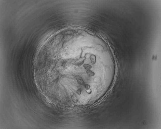 X0000115090145200912081243