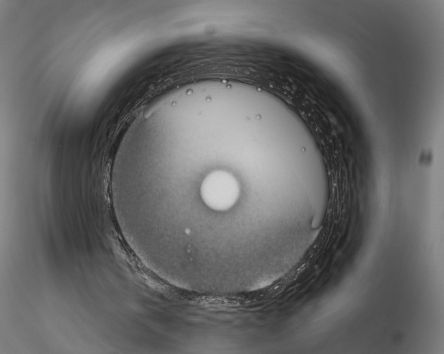 X0000115090146200912081243