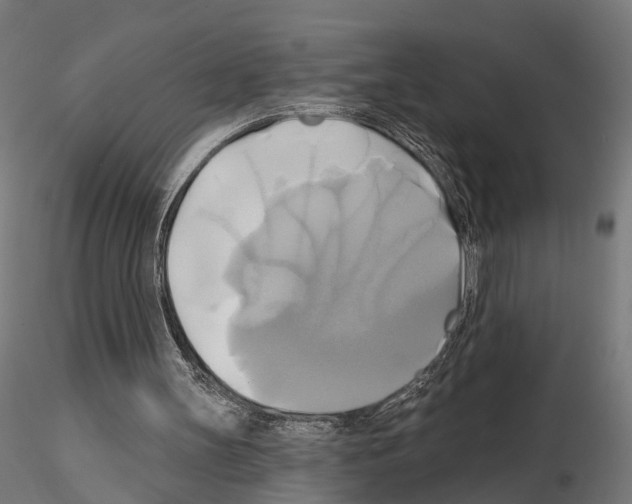 X0000115090147200912081243