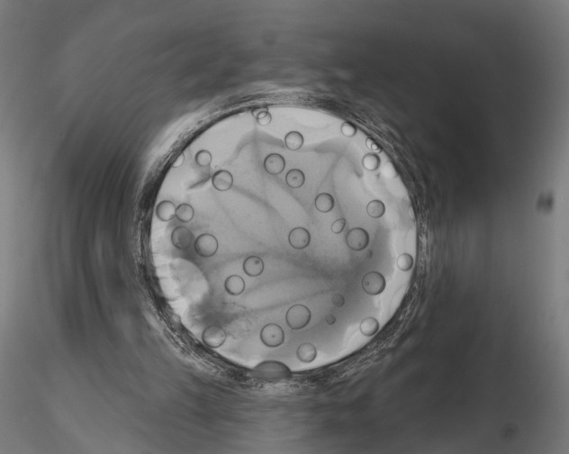 X0000115090149200912081243