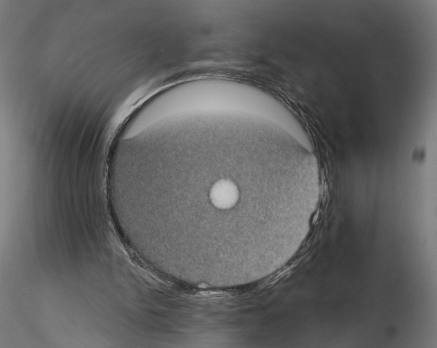 X0000115090150200912081243