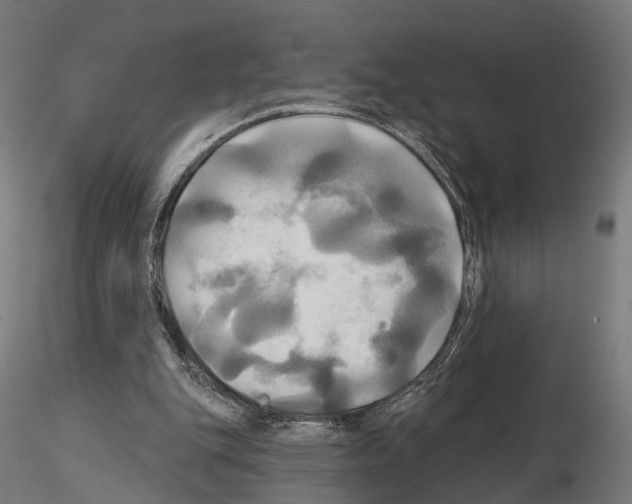 X0000115090151200912081243