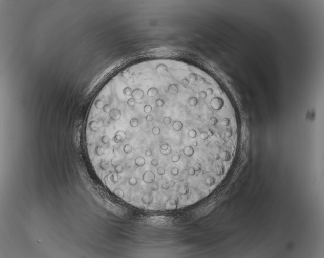 X0000115090153200912081243