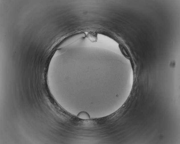 X0000115090154200912081243