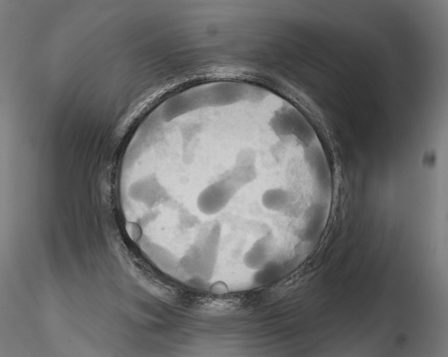 X0000115090155200912081243