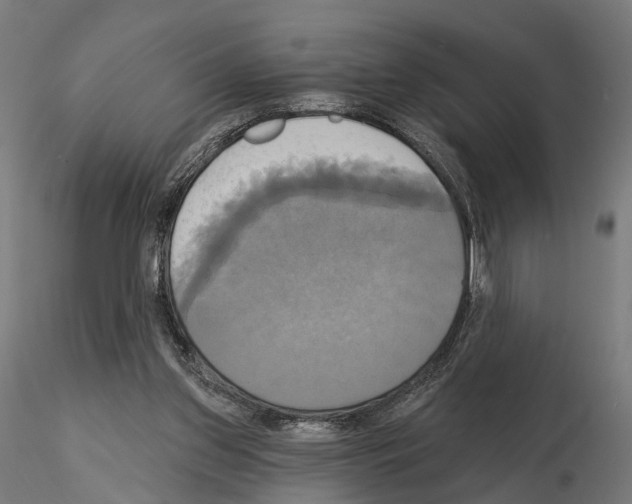 X0000115090157200912081243