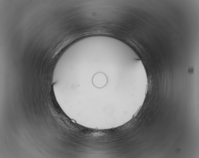 X0000115090158200912081243